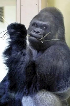 プロフィール写真1・一路｜CLUB LEGEND・レジェンド - 山形駅前・香澄町のキャバクラ