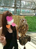 ともみ