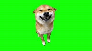 サカバンバスピス　є(◉▼◉)эﾆﾊﾟｯ