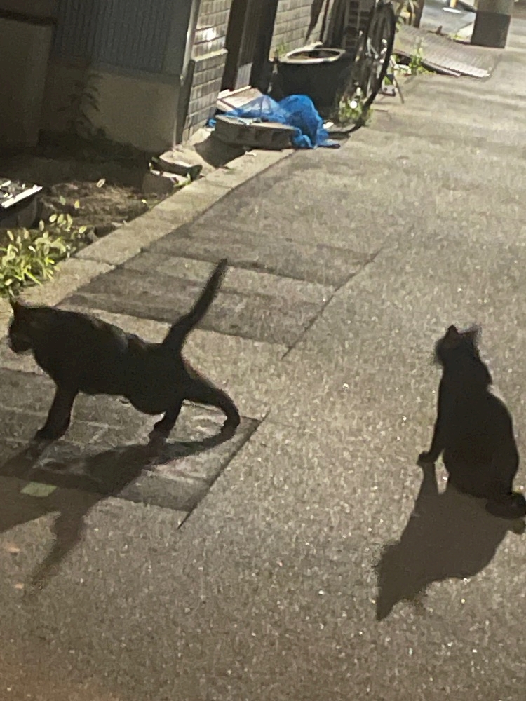 才