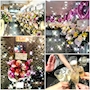 新着ブログ ７月もありがとうございました🥹✨８月もよろしくお願いいたします🥰💕💕