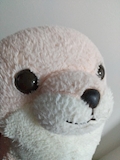 ゆり