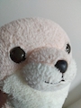ゆり