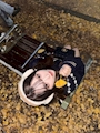 姫奈