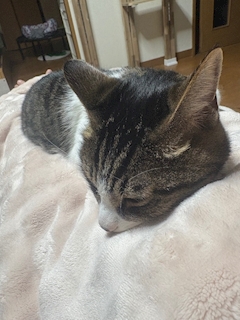 めぐみ