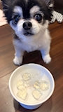 chiko