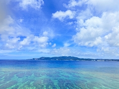 みみ「沖縄のもずくが食べたい。」