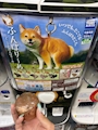 新着ブログ 久々🌟ガチャ活