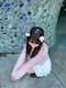 プロフィール写真1・のぞみ【船橋BarROCK】｜Girl’s Bar ROCK・ロック - 船橋のガールズバー