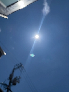 かお