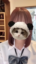 Z助っ人隊りん