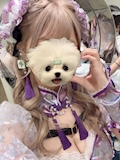 女の子の名前