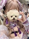 プロフィール写真1・るい|CLUB VALOR・バロール - 柏駅 西口のキャバクラ