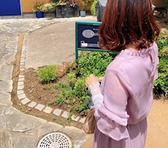 プロフィール写真1・一ノ瀬 みおか|CLUB 金木犀・キンモクセイ - 三重 松阪のキャバクラ