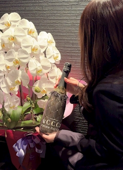 🐱ねこらんど店長🐱