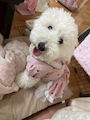 新着ブログ 8月ですよね？