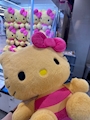 新着ブログ おはよ