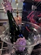 プロフィール写真4・とわ🤍|cafe&Bar BLEA・カフェバーブレア - 西船橋のガールズバー