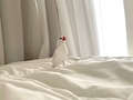 れいか