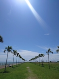仲村
