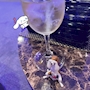 新着ブログ 💫