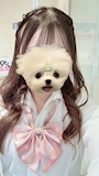 はる　はちくろ