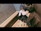 プロフィール写真1・スタッフ｜Regulus・レグルス - 木屋町のキャバクラ