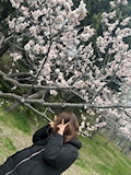 まみ