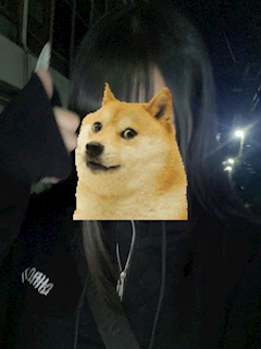 プロフィール写真1・わん🐾|BinGo・ビンゴ - 上野のガールズバー