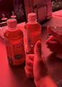 新着ブログ 🍜🧃