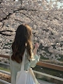 四季　昼の部