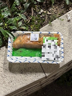 鰈落ちてた
