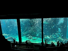 プロフィール写真2・人間｜CLUB Diamant・ディアマント - 防府市のラウンジ/クラブ