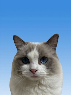 プロフィール写真1・お米🌾｜焼肉とバニーガール難波店 - 難波のガールズバー