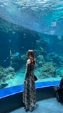 新着ブログ 美ら海水族館( ◠‿◠ )