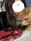 ひびき