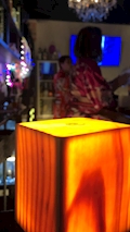 葵