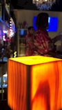 葵
