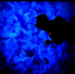 プロフィール写真1・るり｜夢RIKYU・ユメリキュウ - 盛岡のラウンジ