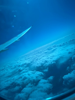 さーちゃん【千葉 since】