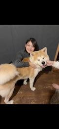 らん