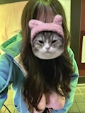 ねこ