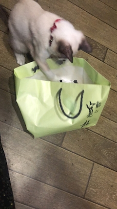 けい「必殺🤜」