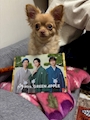 chiko
