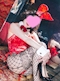プロフィール写真3・さゆ｜B4 新橋店・ビーフォー - 新橋のガールズバー