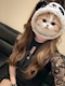 プロフィール写真1・れい｜ミナミ ラウンジ・白い虹