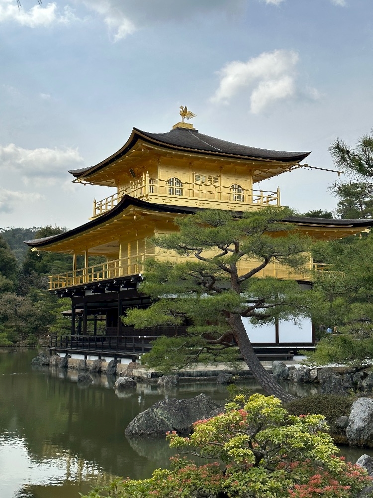 楠 るい