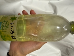 天使 あこ