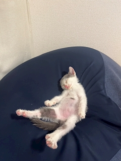 プロフィール写真15・🐣🐣🐣サヨ🐣🐣🐣｜NEO・ネオ - 岐阜 多治見のキャバクラ