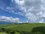 新着ブログ 🌳